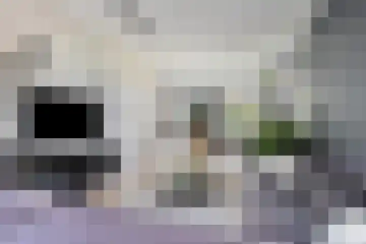 Jachtrust 17 Oegstgeest thumbnail 13