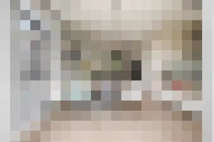 Jachtrust 17 Oegstgeest thumbnail 16