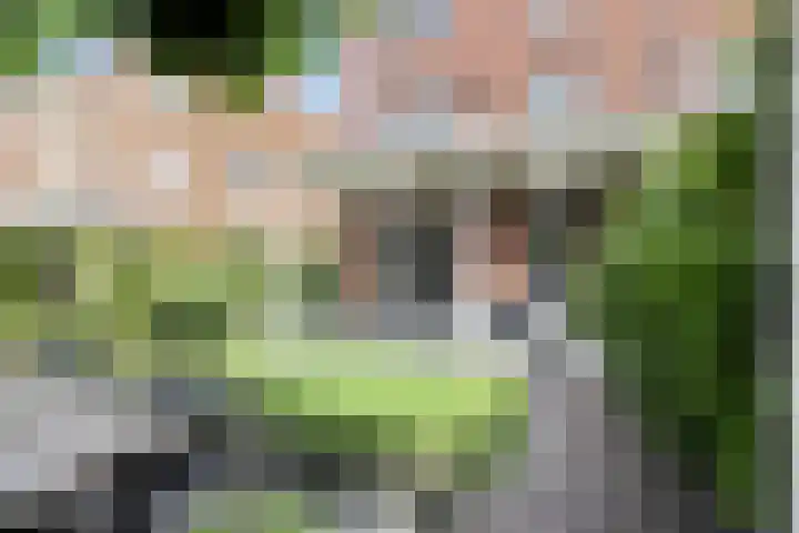 Jachtrust 17 Oegstgeest thumbnail 24