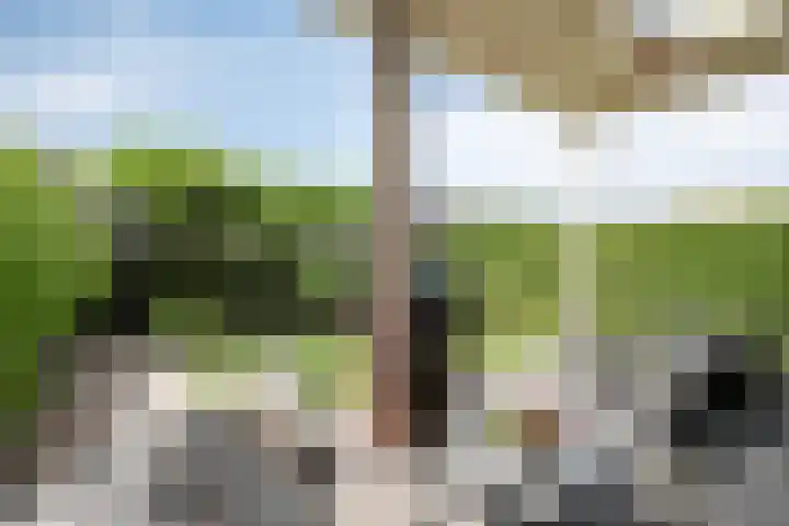 Jachtrust 17 Oegstgeest thumbnail 26