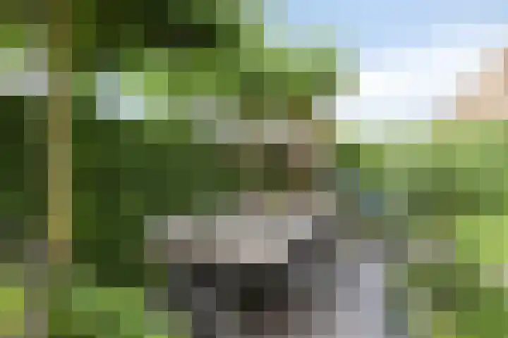 Jachtrust 17 Oegstgeest thumbnail 27