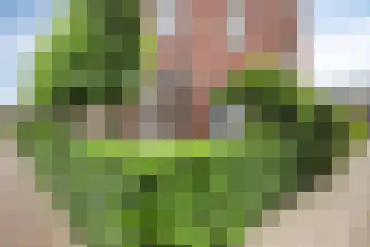 Jachtrust 17 Oegstgeest thumbnail 29