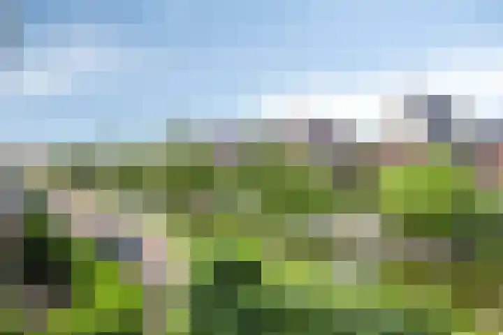Jachtrust 17 Oegstgeest thumbnail 34