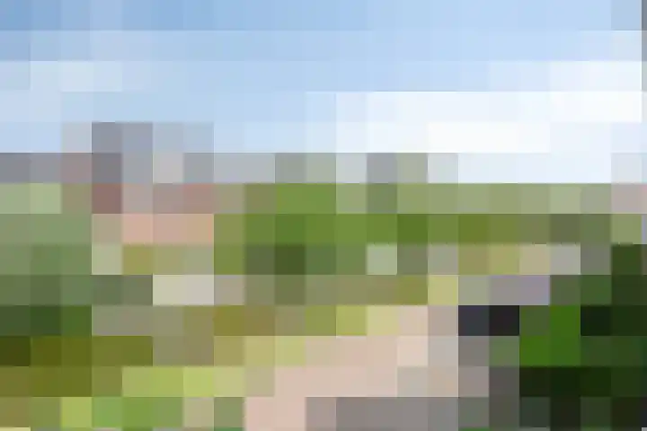 Jachtrust 17 Oegstgeest thumbnail 48