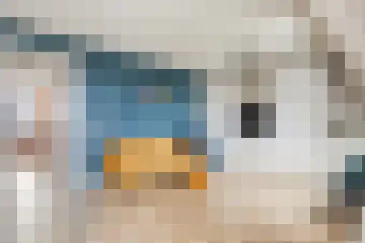 Jachtrust 17 Oegstgeest thumbnail 50