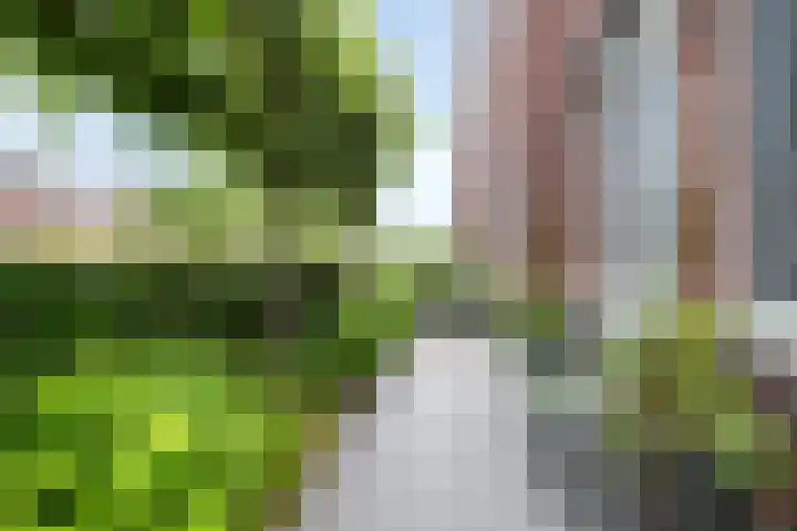 Jachtrust 17 Oegstgeest thumbnail 6