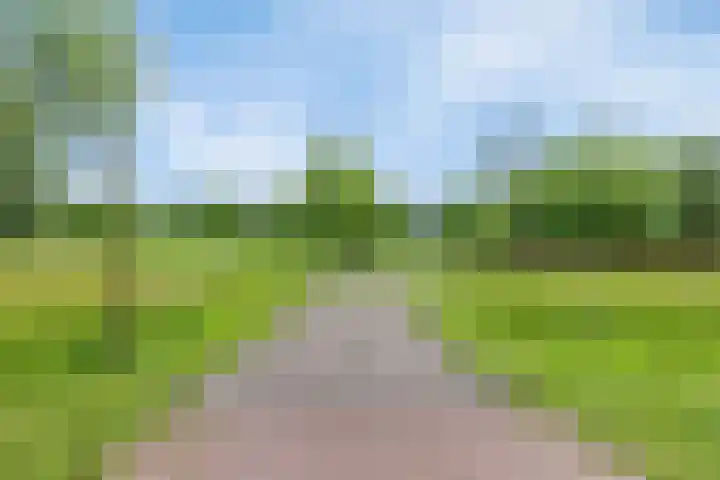 Jachtrust 17 Oegstgeest thumbnail 60