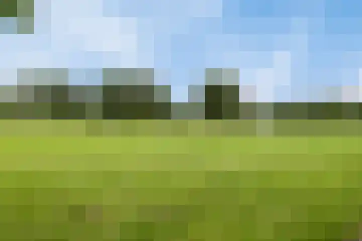 Jachtrust 17 Oegstgeest thumbnail 61