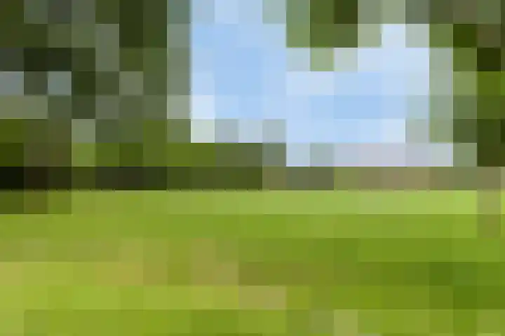 Jachtrust 17 Oegstgeest thumbnail 62