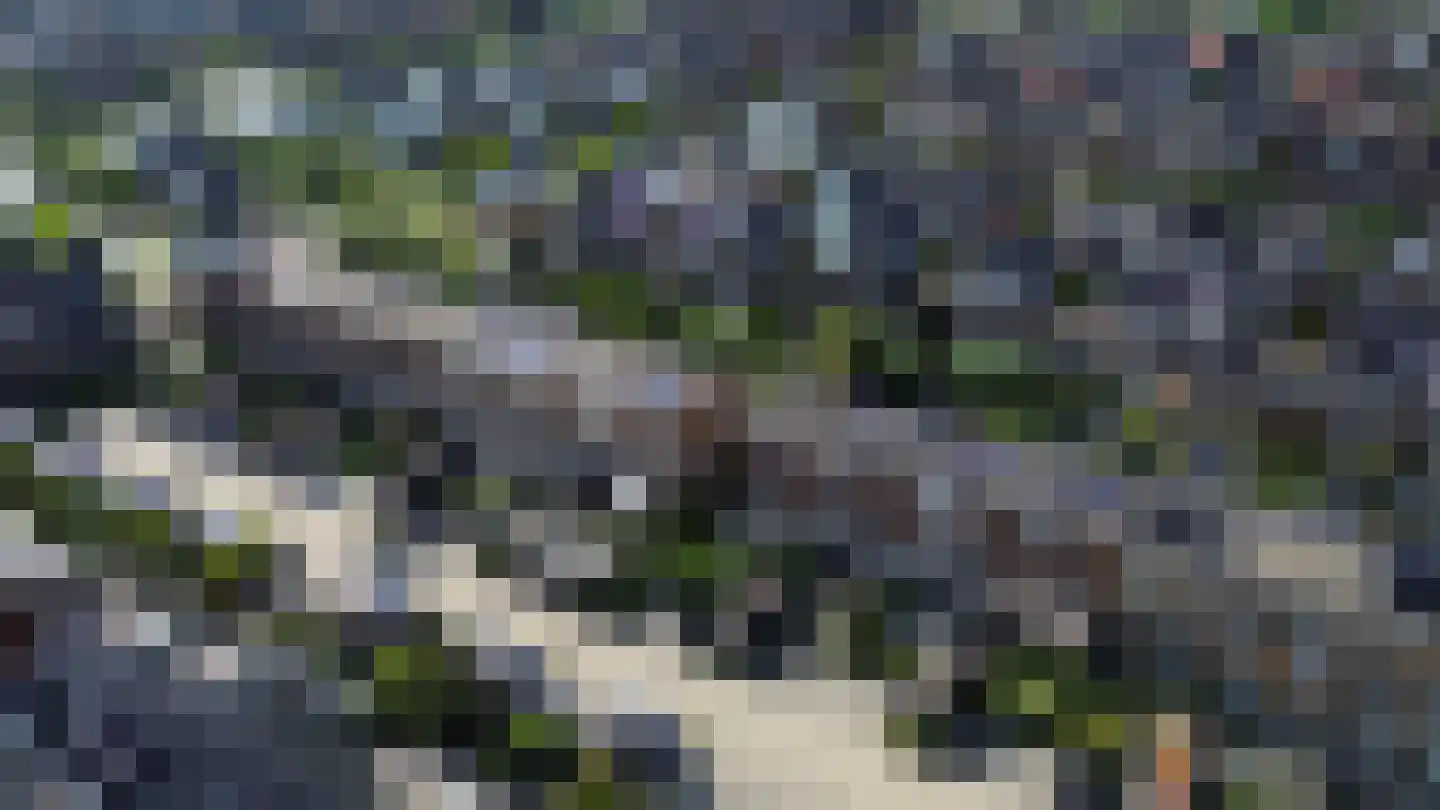 Jachtrust 29 Oegstgeest thumbnail 23
