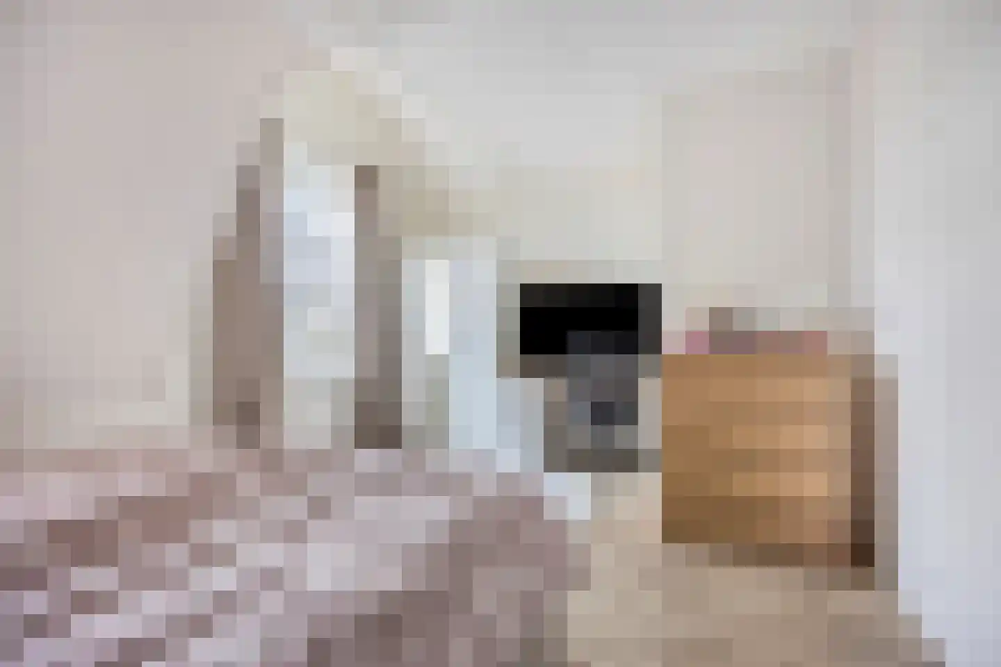 Jachtrust 29 Oegstgeest thumbnail 37