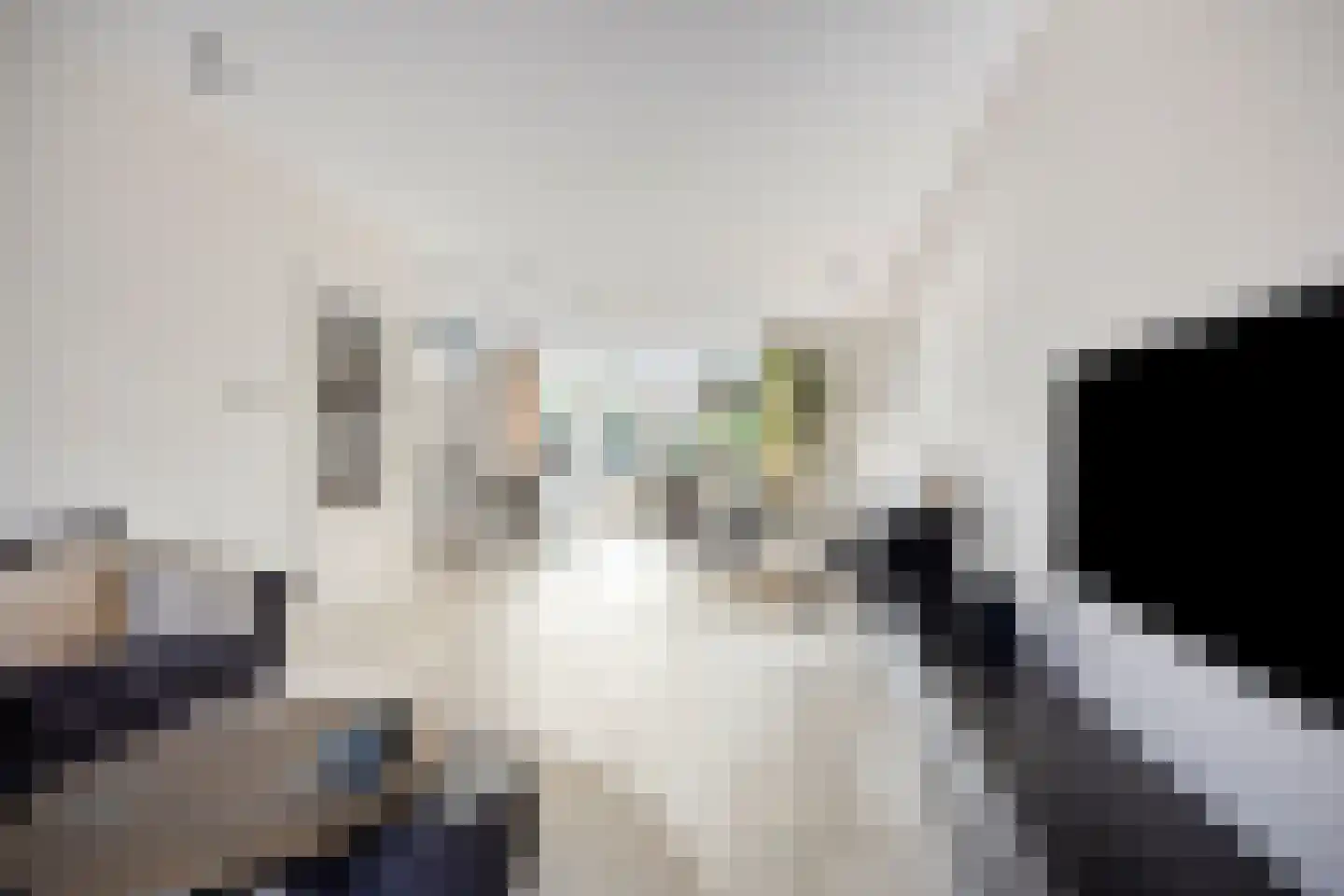 Jachtrust 29 Oegstgeest thumbnail 4