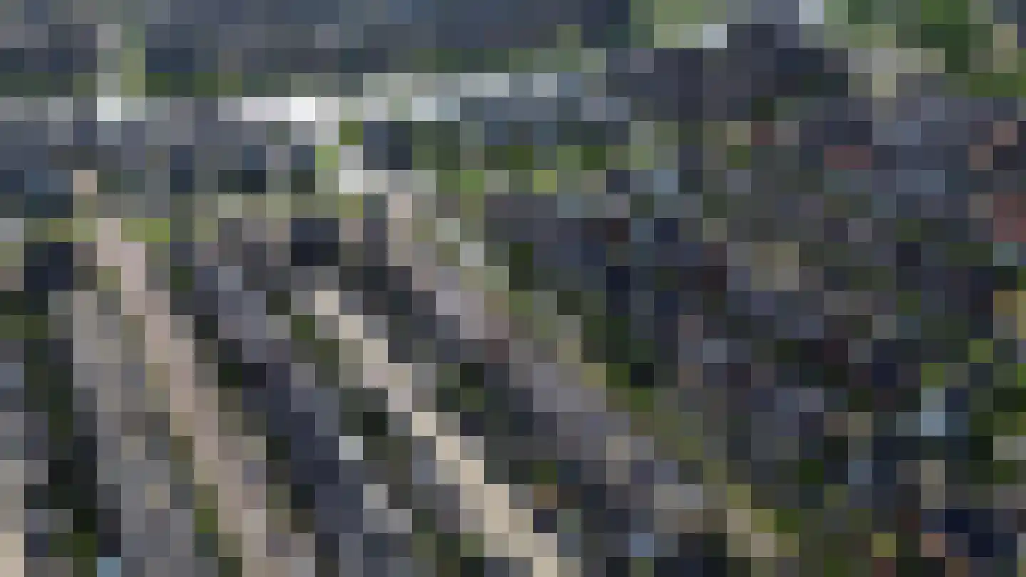 Jachtrust 29 Oegstgeest thumbnail 45