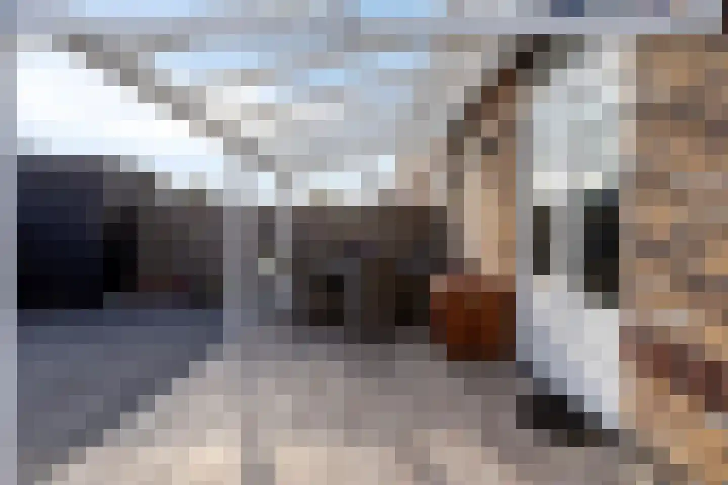 Jachtrust 3 Oegstgeest thumbnail 24