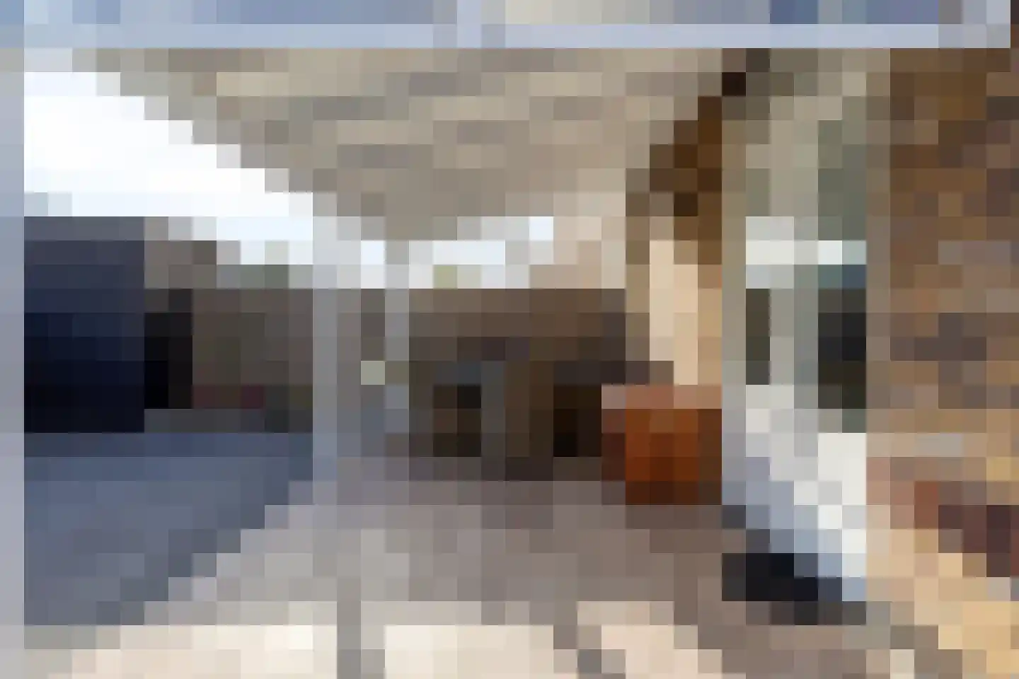Jachtrust 3 Oegstgeest thumbnail 25
