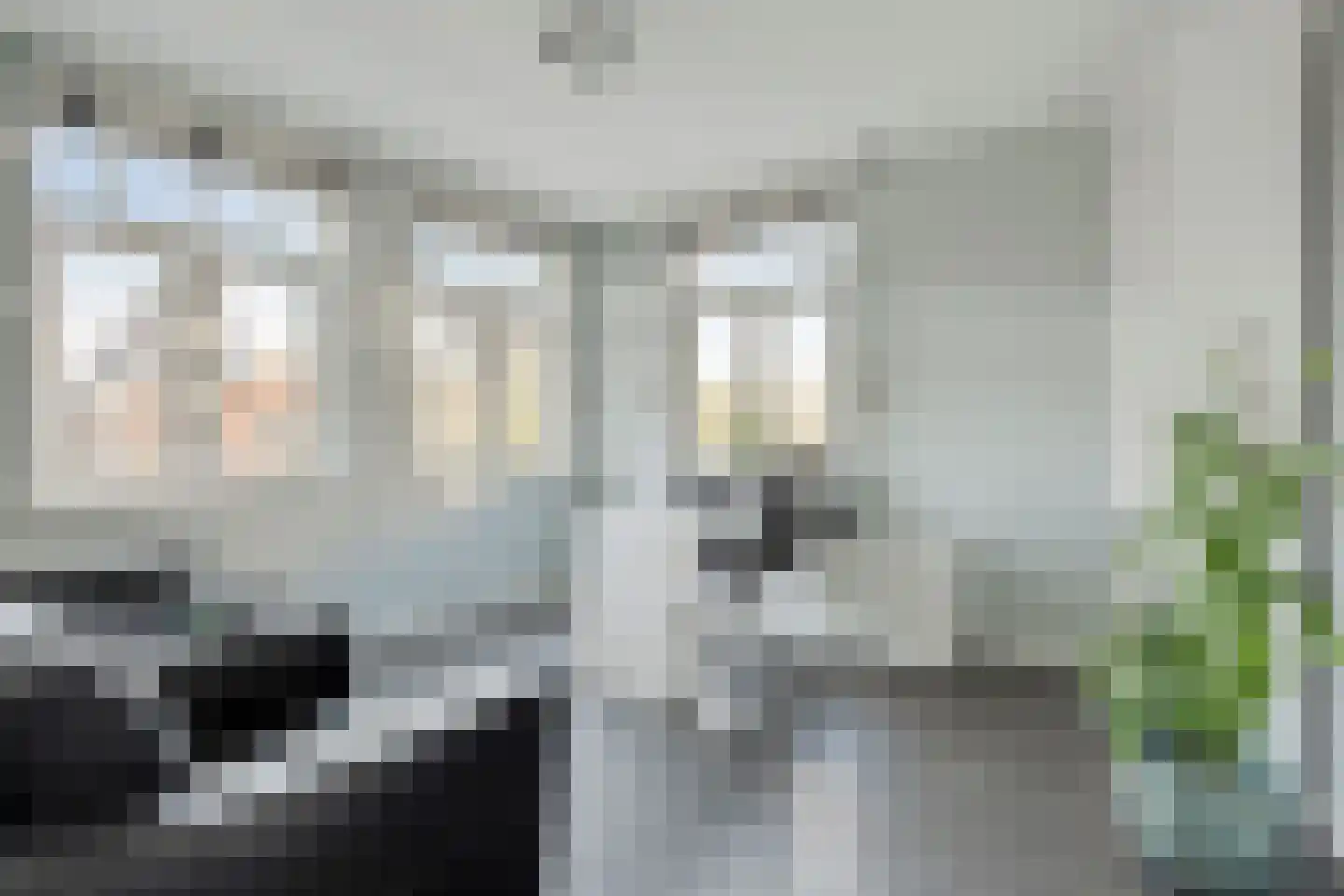 Jachtrust 3 Oegstgeest thumbnail 36