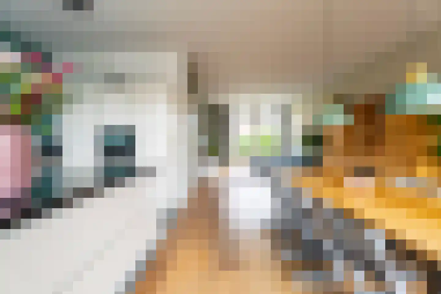 Jachtrust 5 Oegstgeest thumbnail 11