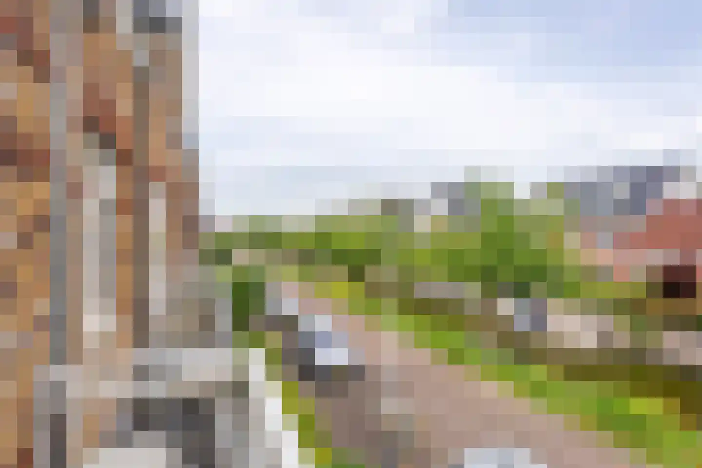 Jachtrust 5 Oegstgeest thumbnail 19
