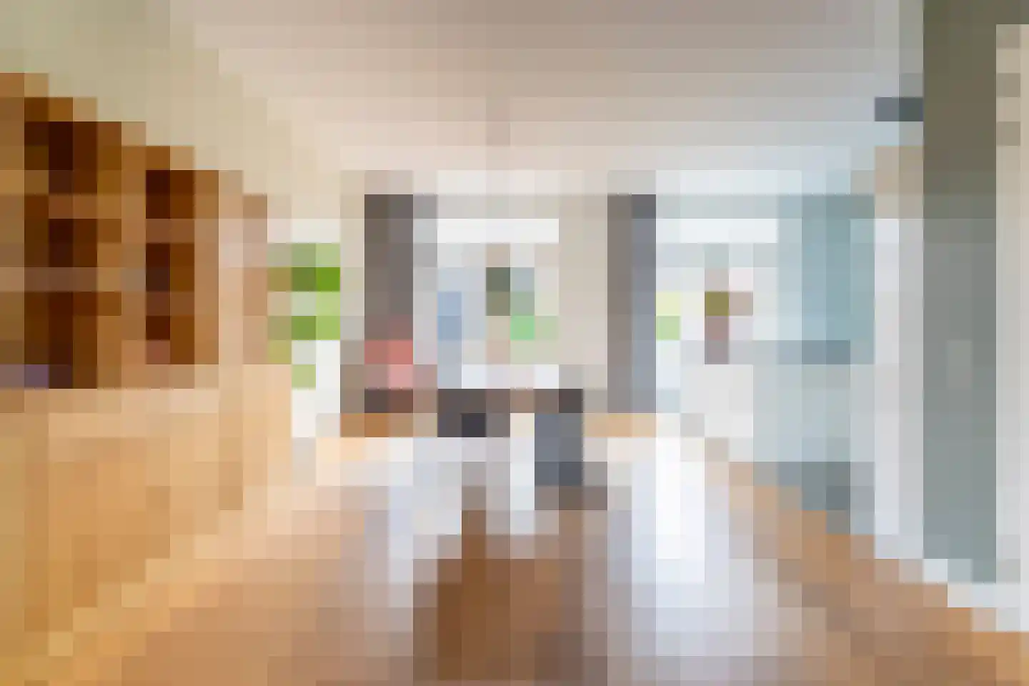Jachtrust 5 Oegstgeest thumbnail 5
