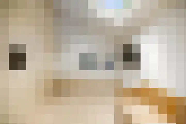 Jachtrustweg 1 Diepenveen thumbnail 18