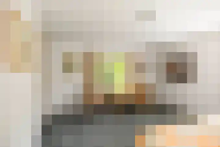 Jachtrustweg 1 Diepenveen thumbnail 26