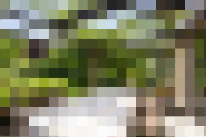 Jachtrustweg 1 Diepenveen thumbnail 29