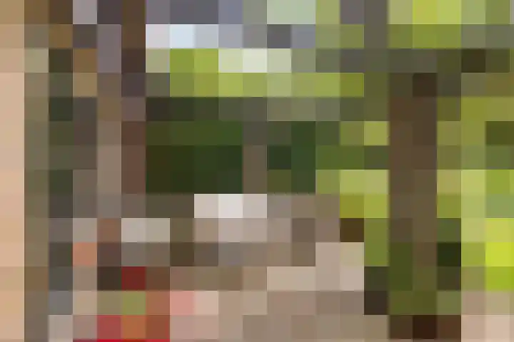 Jachtrustweg 1 Diepenveen thumbnail 30