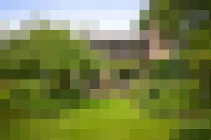 Jachtrustweg 1 Diepenveen thumbnail 31