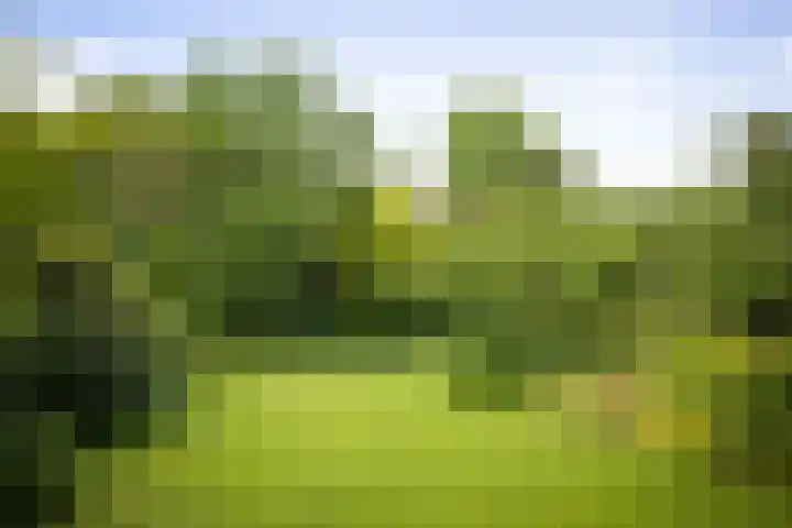Jachtrustweg 1 Diepenveen thumbnail 32