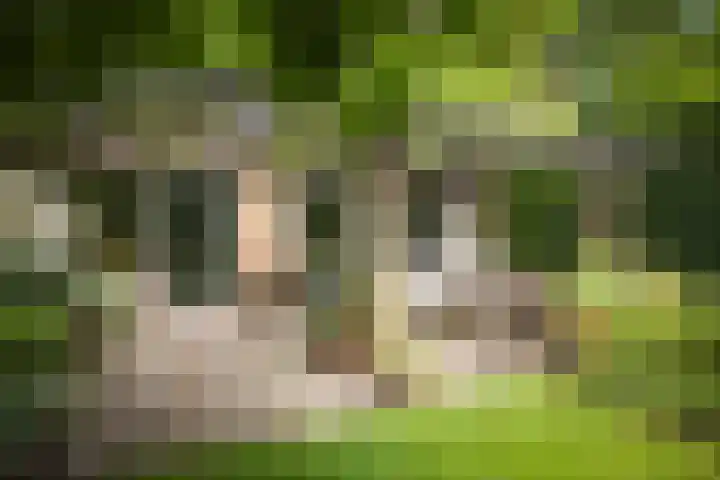 Jachtrustweg 1 Diepenveen thumbnail 33