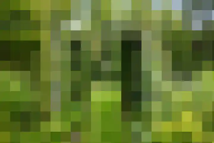 Jachtrustweg 1 Diepenveen thumbnail 34