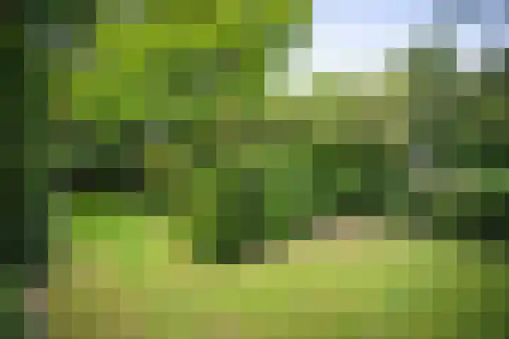 Jachtrustweg 1 Diepenveen thumbnail 35