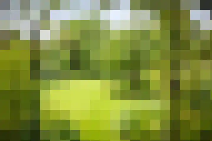 Jachtrustweg 1 Diepenveen thumbnail 36