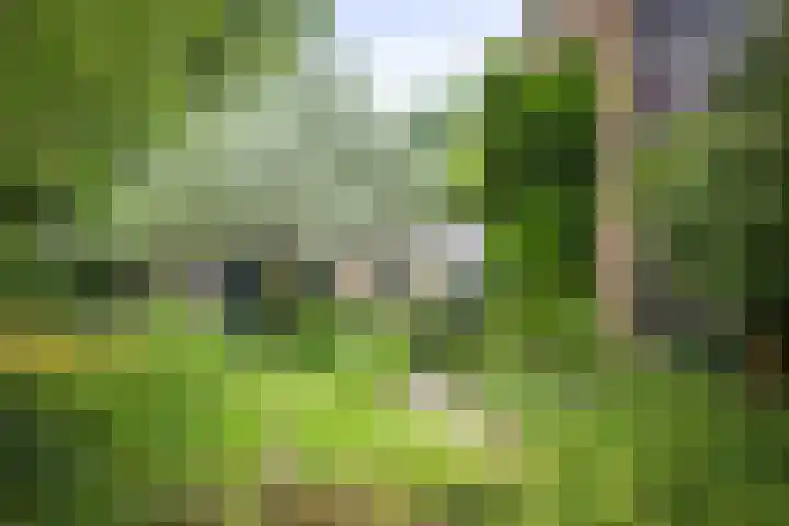 Jachtrustweg 1 Diepenveen thumbnail 37
