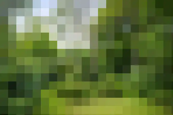Jachtrustweg 1 Diepenveen thumbnail 38