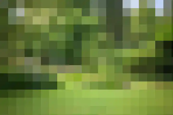 Jachtrustweg 1 Diepenveen thumbnail 39