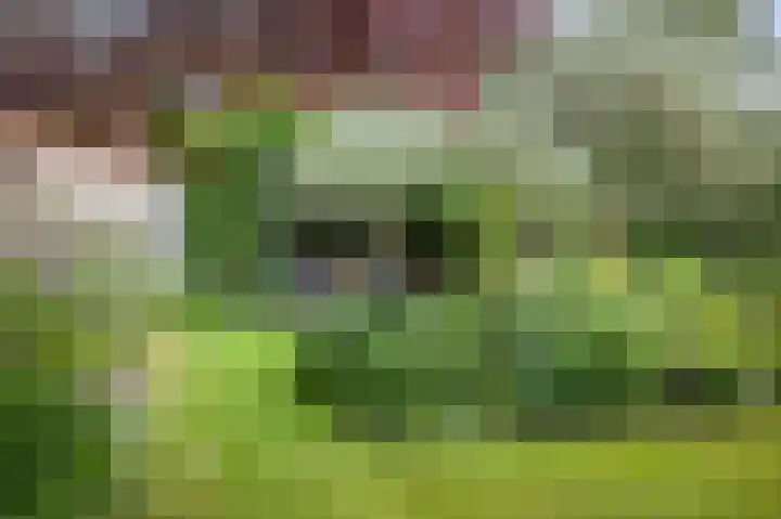 Jachtrustweg 1 Diepenveen thumbnail 40