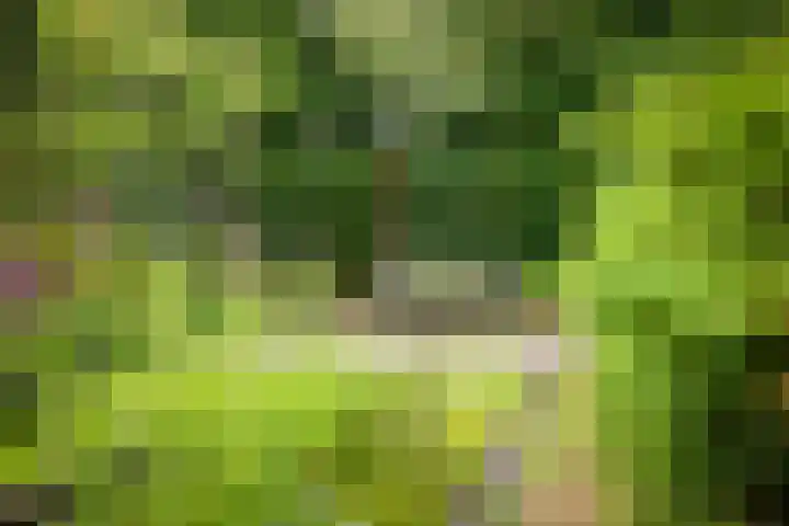 Jachtrustweg 1 Diepenveen thumbnail 41