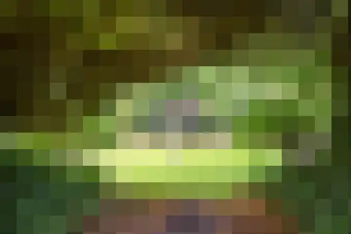 Jachtrustweg 1 Diepenveen thumbnail 42
