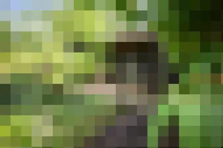 Jachtrustweg 1 Diepenveen thumbnail 43