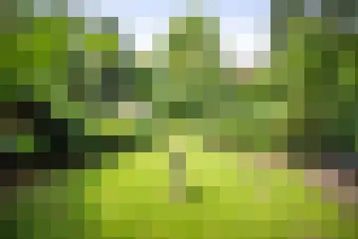 Jachtrustweg 1 Diepenveen thumbnail 44