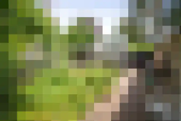 Jachtrustweg 1 Diepenveen thumbnail 45