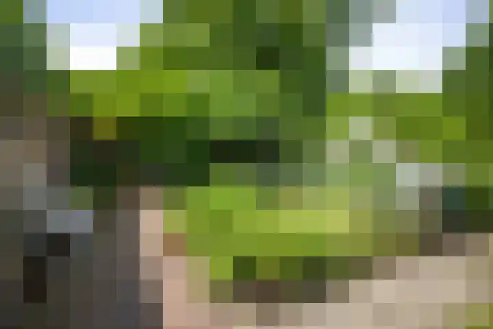 Jachtrustweg 1 Diepenveen thumbnail 46