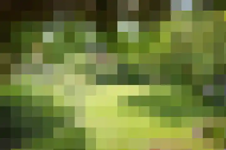 Jachtrustweg 1 Diepenveen thumbnail 47