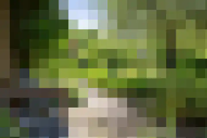 Jachtrustweg 1 Diepenveen thumbnail 48