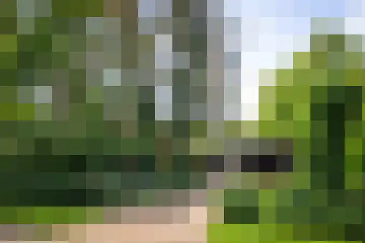 Jachtrustweg 1 Diepenveen thumbnail 51