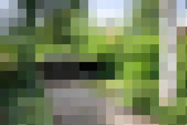 Jachtrustweg 1 Diepenveen thumbnail 50