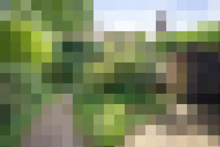 Jachtrustweg 1 Diepenveen thumbnail 51