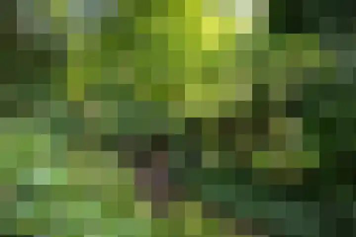 Jachtrustweg 1 Diepenveen thumbnail 52