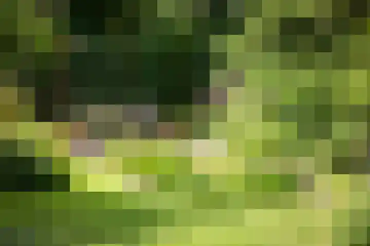 Jachtrustweg 1 Diepenveen thumbnail 53